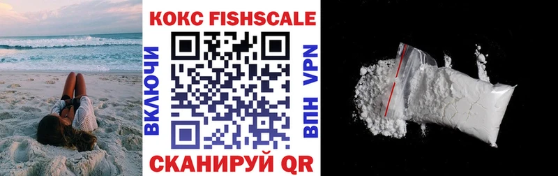 Cocaine Fish Scale Купить где Суровикино