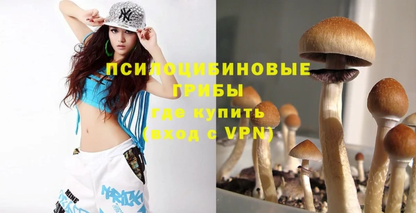 таблы Каменка