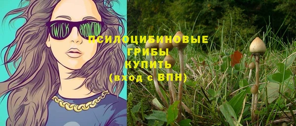 сатива Касимов