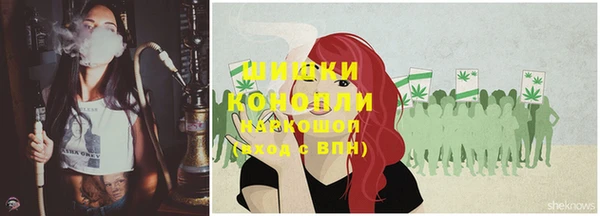 сатива Касимов