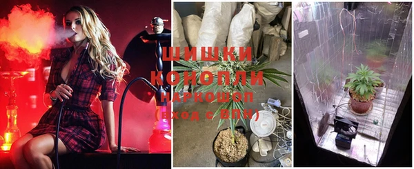 прущие крисы Каменногорск