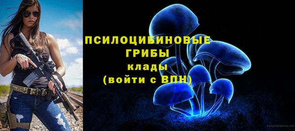 прущие крисы Каменногорск
